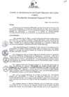 Vista preliminar de documento Resolución de Gerencia General