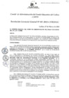 Vista preliminar de documento Resolución de Gerencia General