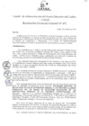 Vista preliminar de documento Resolución de Gerencia General