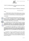 Vista preliminar de documento Resolución de Gerencia General