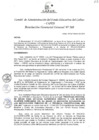 Vista preliminar de documento Resolución de Gerencia General