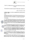 Vista preliminar de documento Resolución de Gerencia General