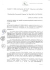 Vista preliminar de documento Resolución de Gerencia General