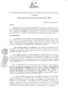Vista preliminar de documento Resolución de Gerencia General
