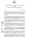 Vista preliminar de documento Resolución de Gerencia General