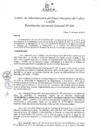 Vista preliminar de documento Resolución de Gerencia General