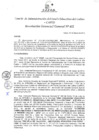 Vista preliminar de documento Resolución de Gerencia General