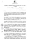 Vista preliminar de documento Resolución de Gerencia General