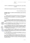 Vista preliminar de documento Resolución de Gerencia General
