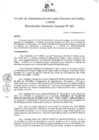Vista preliminar de documento Resolución de Gerencia General