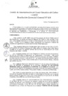 Vista preliminar de documento Resolución de Gerencia General