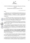 Vista preliminar de documento Resolución de Gerencia General