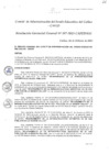 Vista preliminar de documento Resolución de Gerencia General
