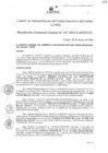 Vista preliminar de documento Resolución de Gerencia General