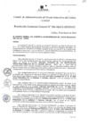 Vista preliminar de documento Resolución de Gerencia General