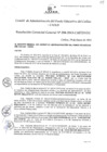 Vista preliminar de documento Resolución de Gerencia General