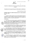 Vista preliminar de documento Resolución de Gerencia General