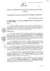 Vista preliminar de documento Resolución de Gerencia General