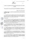 Vista preliminar de documento Resolución de Gerencia General
