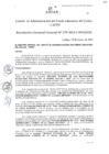 Vista preliminar de documento Resolución de Gerencia General