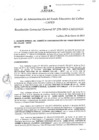 Vista preliminar de documento Resolución de Gerencia General