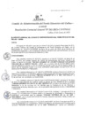 Vista preliminar de documento Resolución de Gerencia General