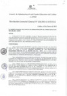 Vista preliminar de documento Resolución de Gerencia General