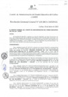Vista preliminar de documento Resolución de Gerencia General