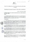 Vista preliminar de documento Resolución de Gerencia General