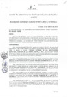 Vista preliminar de documento Resolución de Gerencia General