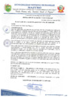 Vista preliminar de documento RESOLUCIÓN DE ALCALDÍA 207-2020-MDI/T