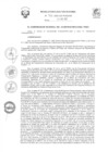 Vista preliminar de documento R.E.R. Nro 372-2022-GR-GR PUNO.pdf