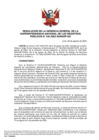 Vista preliminar de documento Resolución N° 244-2022-SUNARP_GG