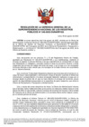 Vista preliminar de documento Resolución N° 246-2022-SUNARP_GG