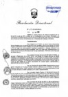 Vista preliminar de documento RD  113-2019