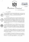 Vista preliminar de documento RD 101-2019-PNSU.pdf