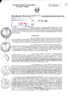 Vista preliminar de documento RD0271-MIDAGRI-DVDAFIR-PEBPT_0001.pdf