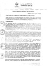 Vista preliminar de documento RA-N° 461-2022-MDB-AL.pdf