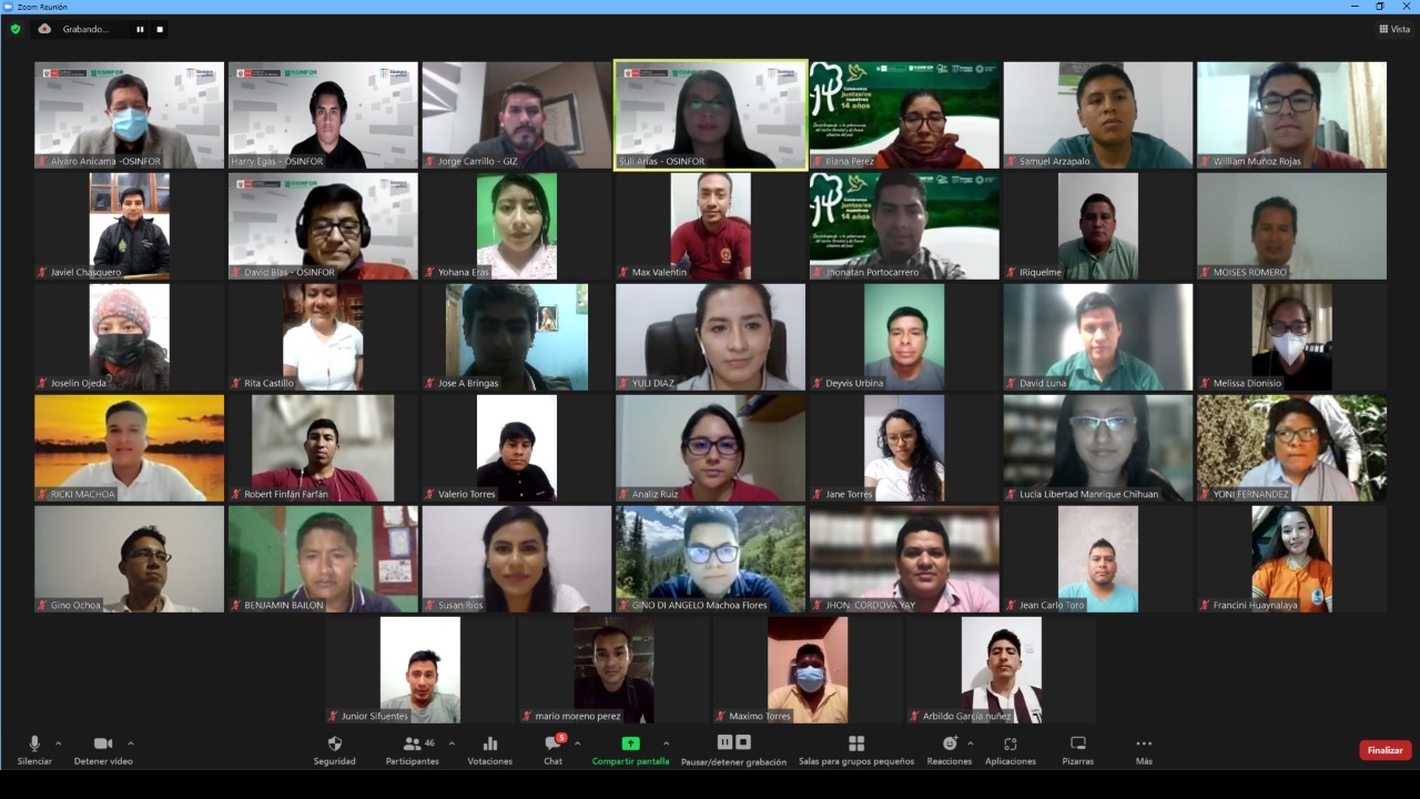 22 profesionales relacionados al sector forestal culminaron con éxito un curso impartido por el OSINFOR