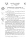 Vista preliminar de documento R.E.R. Nro 381-2022-GR-GR PUNO.pdf