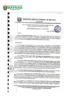 Vista preliminar de documento PROCESO DEL PRESUPUESTO PARTICIPATIVO 2023.pdf-27.pdf