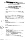 Vista preliminar de documento 0680c3_DIRECTIVAN011-2013OrganizacinMantenimientoActualizacinyCustodiadelLegajoPersonal.pdf