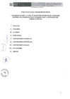 Vista preliminar de documento 163af7_DIRECTIVAN003-2017.pdf