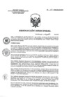 Vista preliminar de documento RD 117-2022-SA-DG-INR.pdf