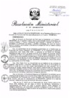 Vista preliminar de documento RM.N° 262