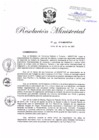 Vista preliminar de documento RM.N° 265