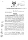 Vista preliminar de documento Resolución 033-2013-INPEP-CNP.pdf