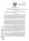 Vista preliminar de documento Resolución 041-2013-INPEP-CNP.pdf