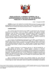 Vista preliminar de documento Resolución N° 249-2022-SUNARP_GG