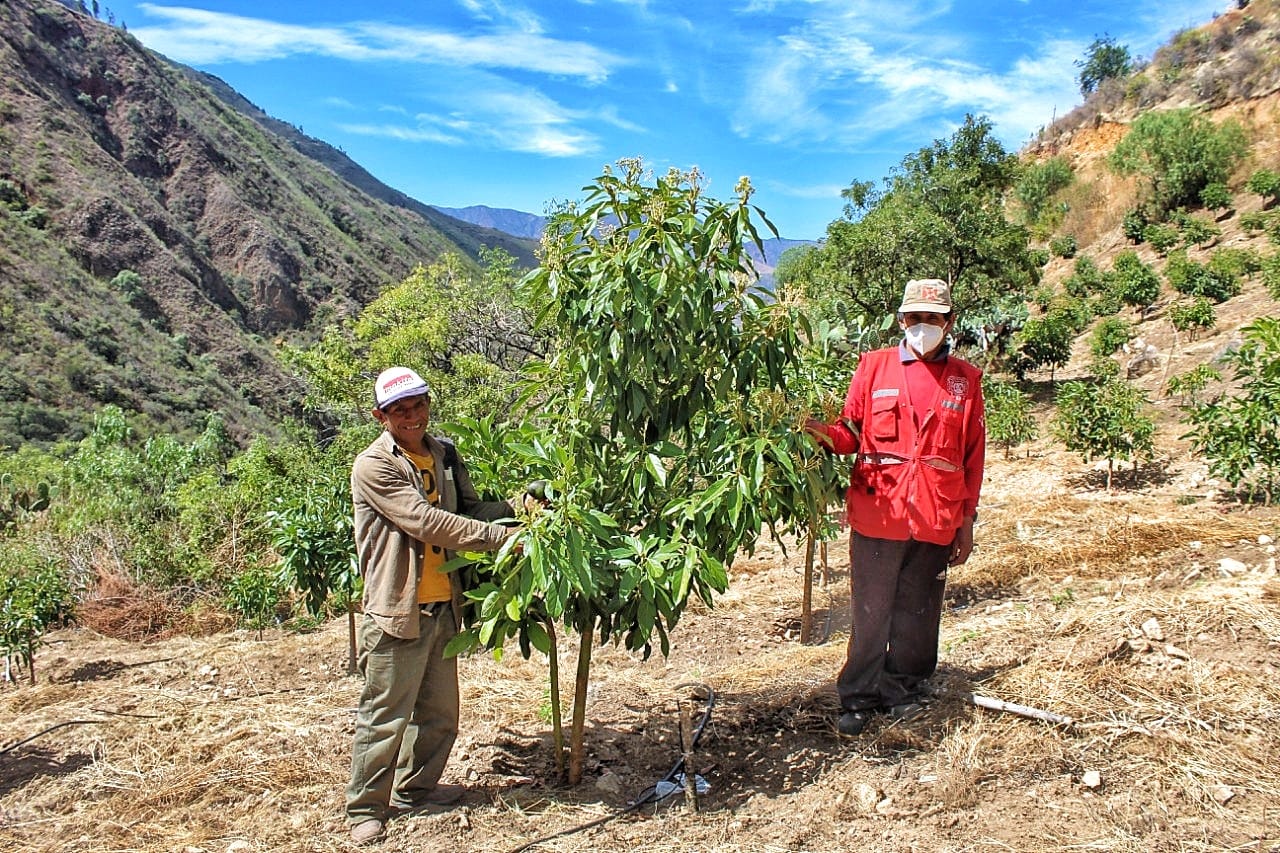 Peru noticias